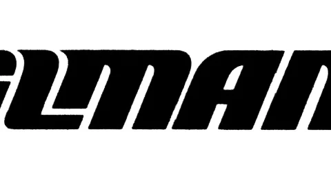 логотип VILMANN